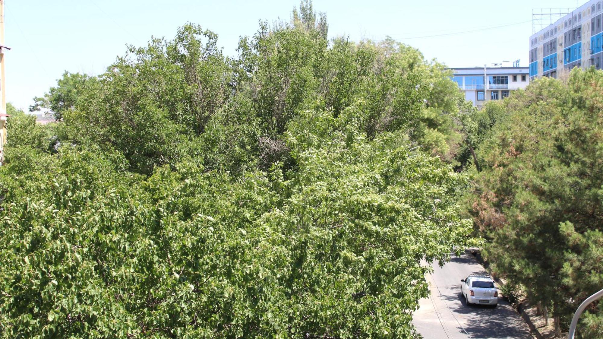 Grand Shosh Hotel Tashkent Exterior photo